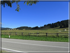 foto Dal Passo Vezzena al Pizzo di Levico